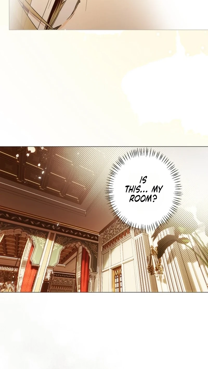 Dawn of Vengeance Chapter 65 page 31 - 