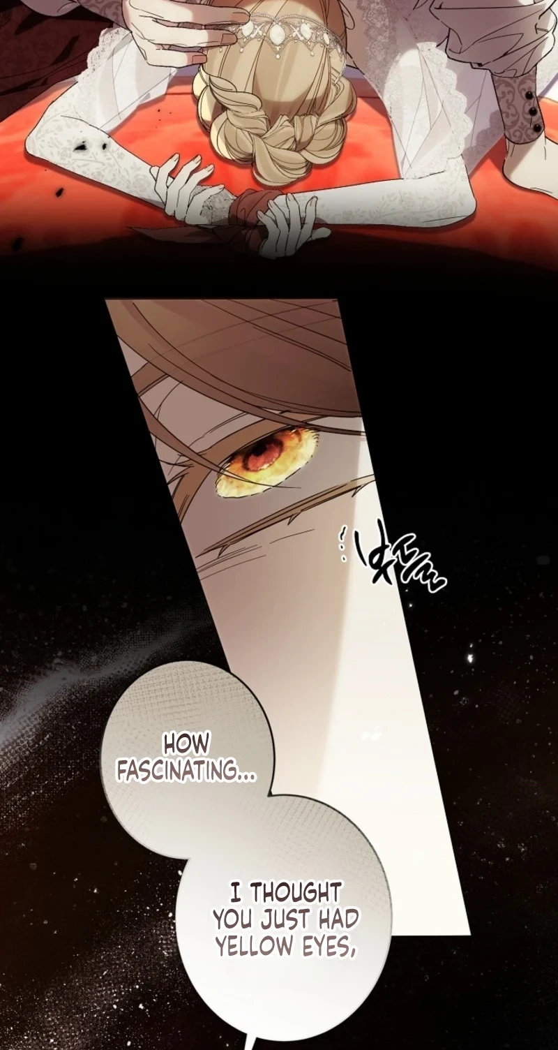 Dawn of Vengeance Chapter 65 page 37 - 