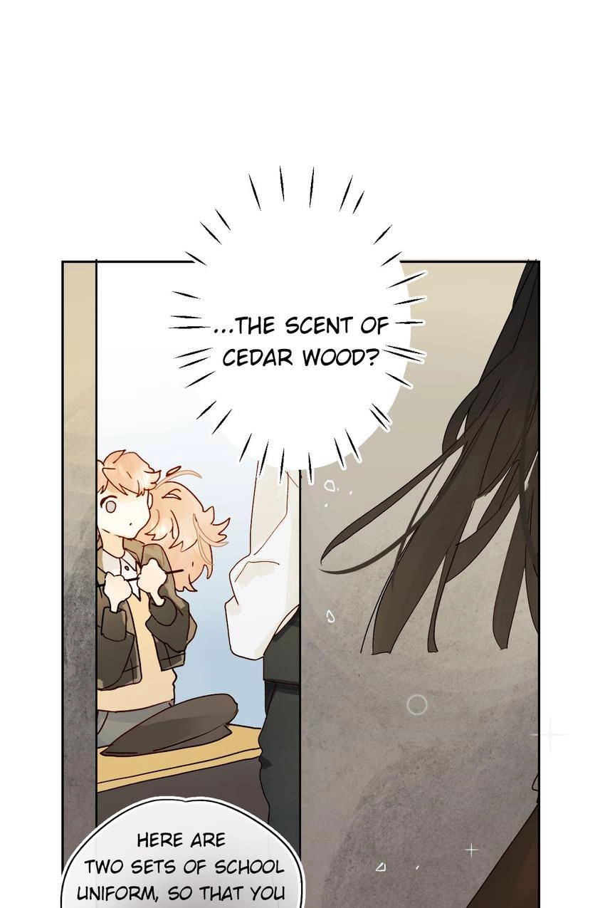 Dawn The Teen Witch Chapter 3 page 19 - 