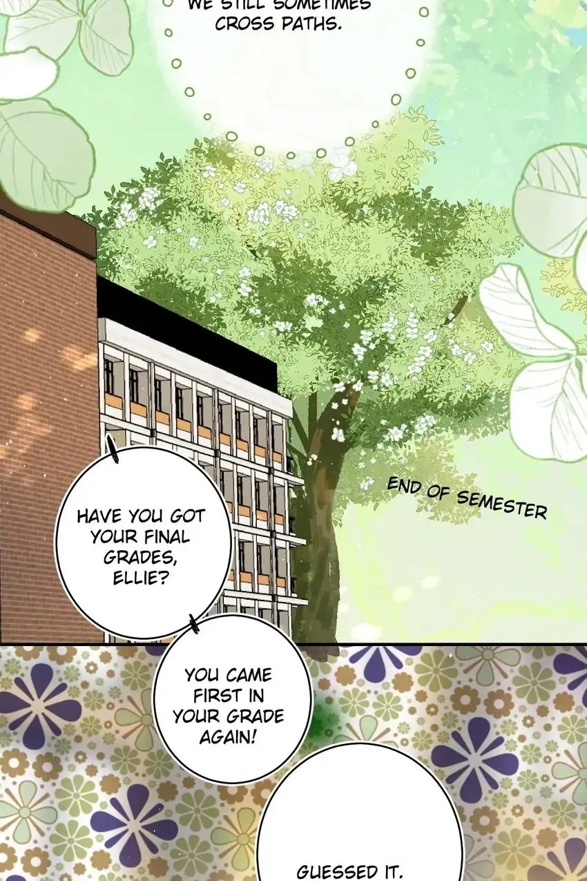 Dawn The Teen Witch Chapter 46 page 24 - 