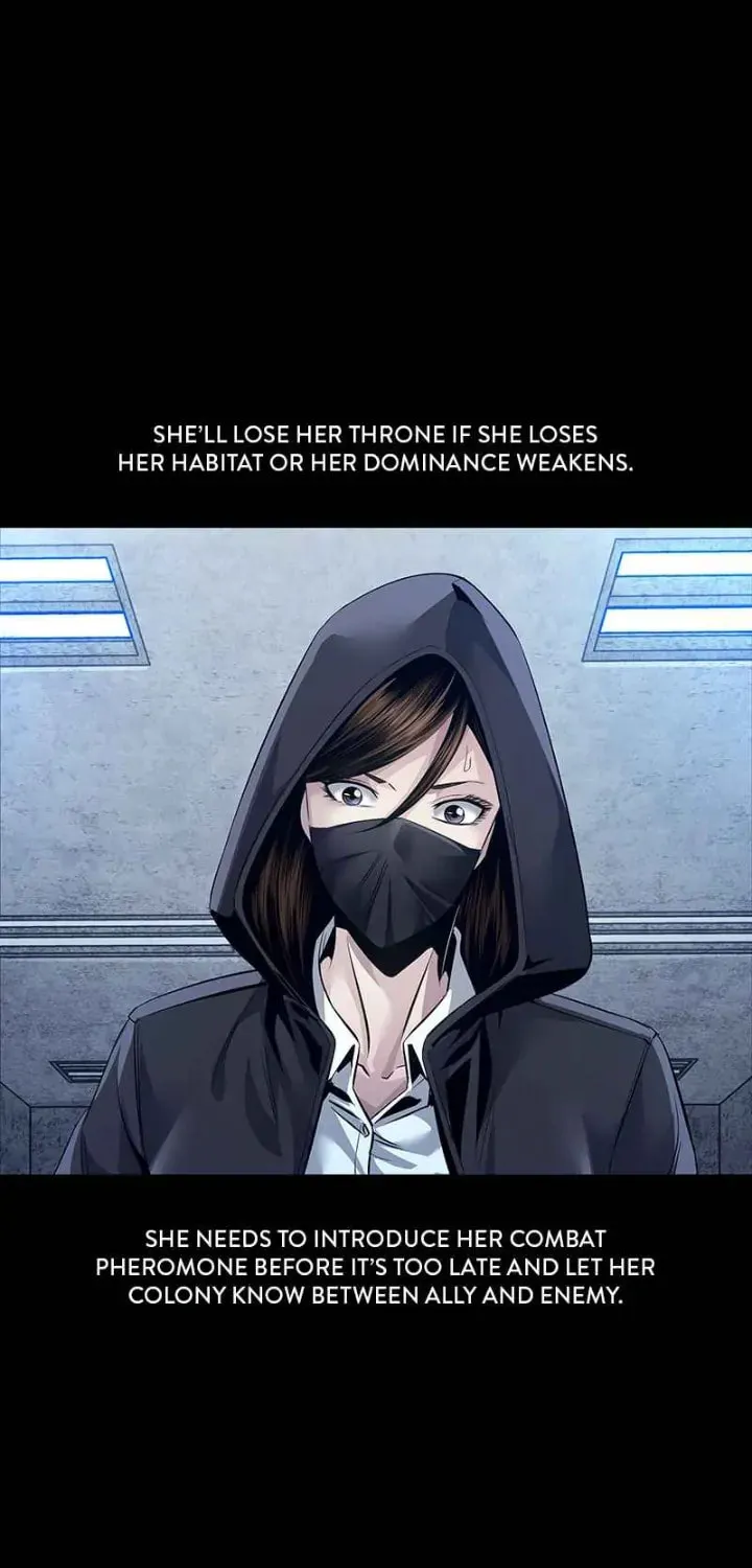 Dead Queen Chapter 98 page 49 - 