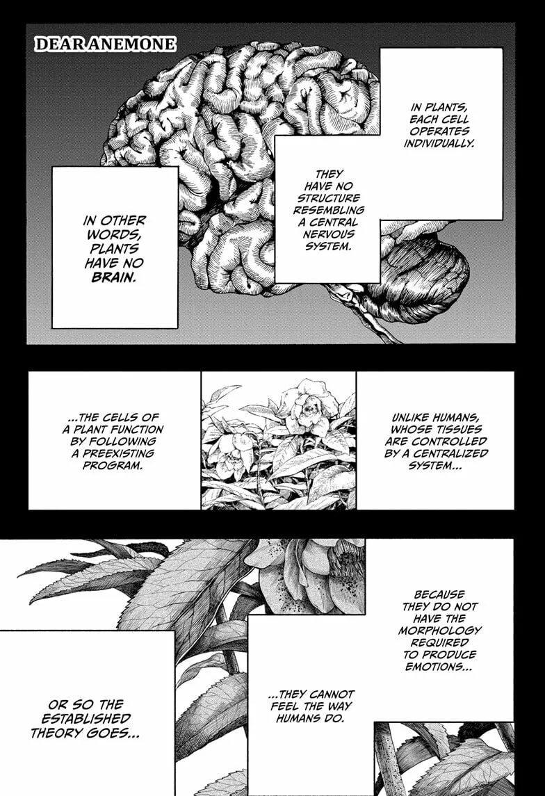 Dear Anemone Chapter 7 page 1 - 