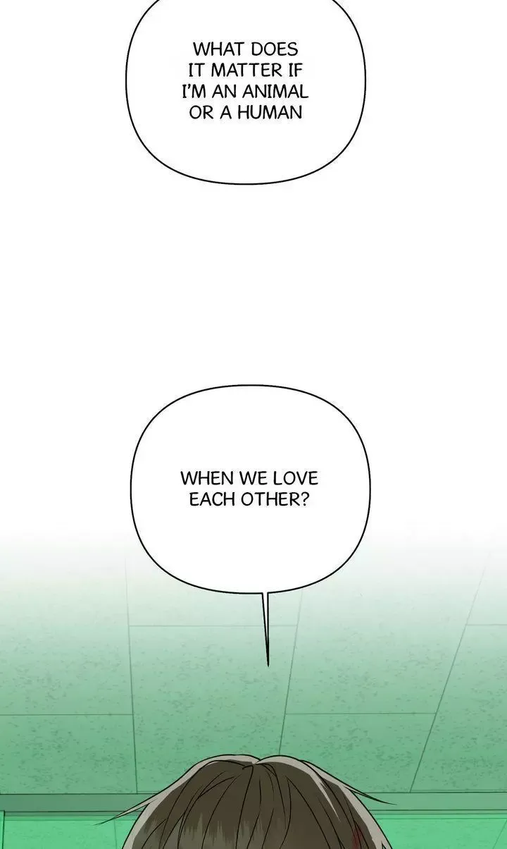 Dear My Dear Chapter 32 page 51 - 