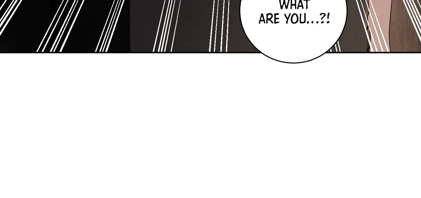 Dear, My killer Chapter 2 page 31 - 