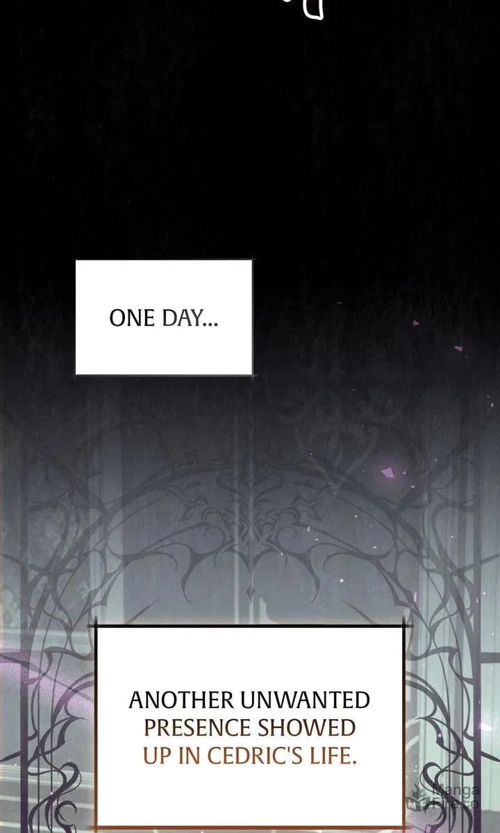 Dear, Not Cunning Witch Chapter 40 page 39 - 