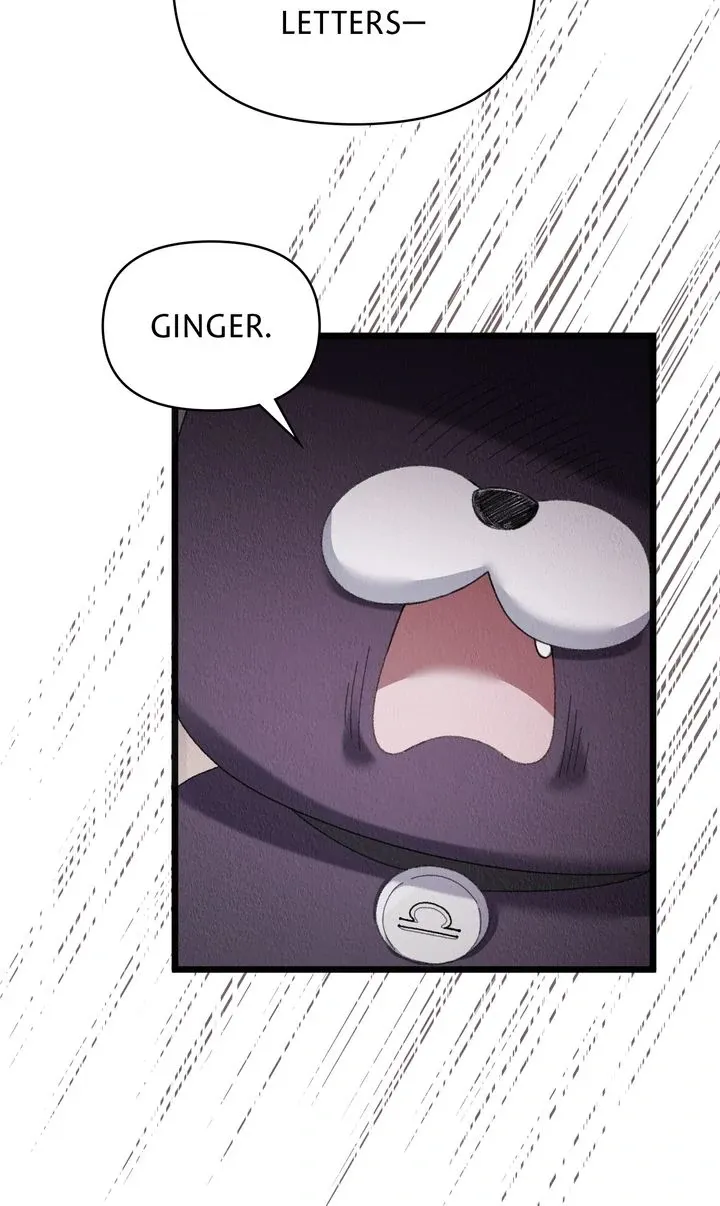 Dear, Not Cunning Witch Chapter 67 page 61 - 