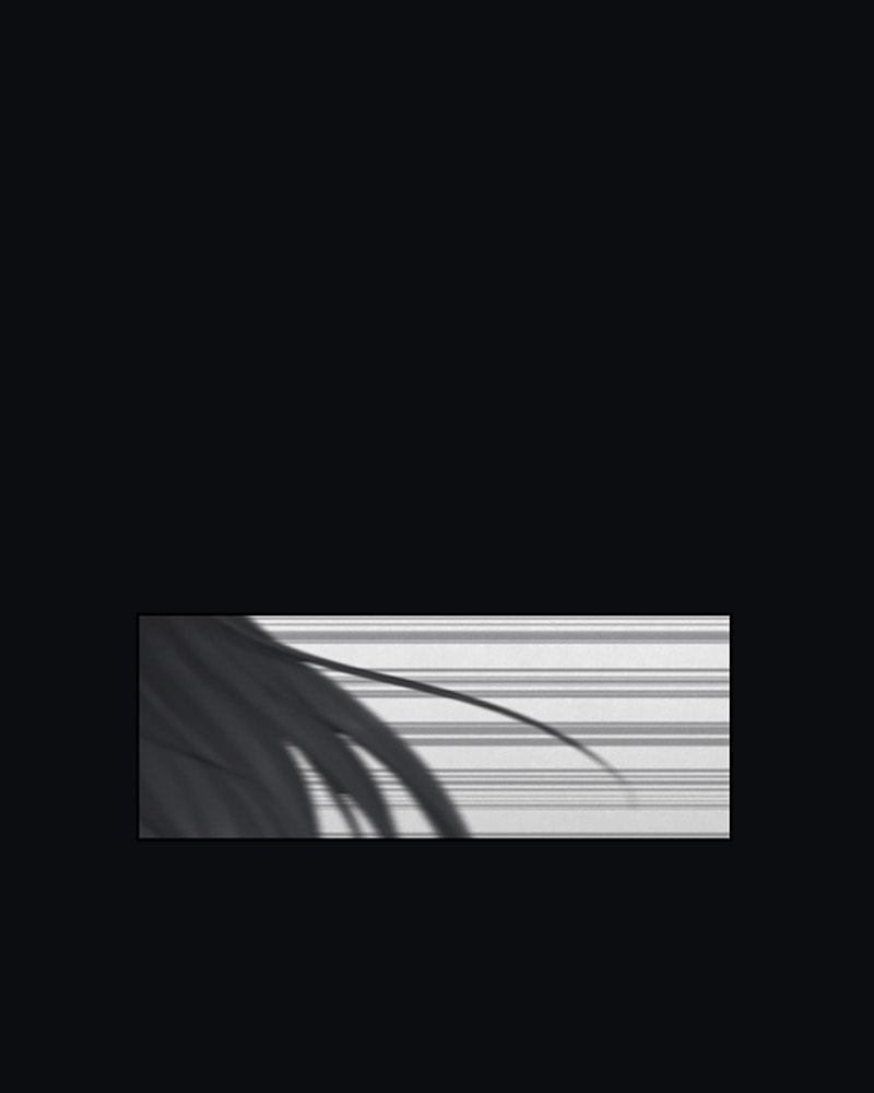 Dear X Chapter 12 page 77 - 