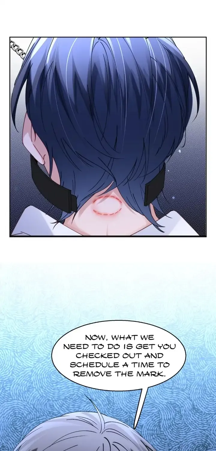 Deceiving Superiors and Using Subordinates Chapter 64 page 21 - 