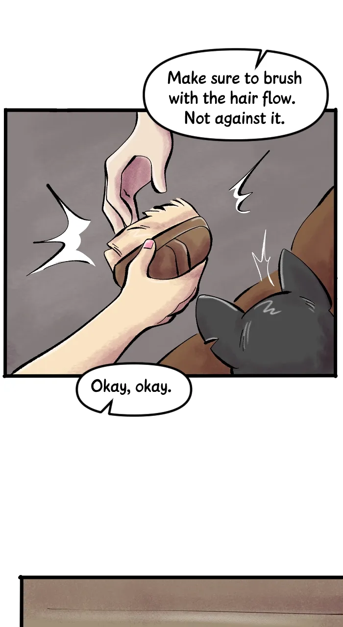 Deception Chapter 259 page 19 - 