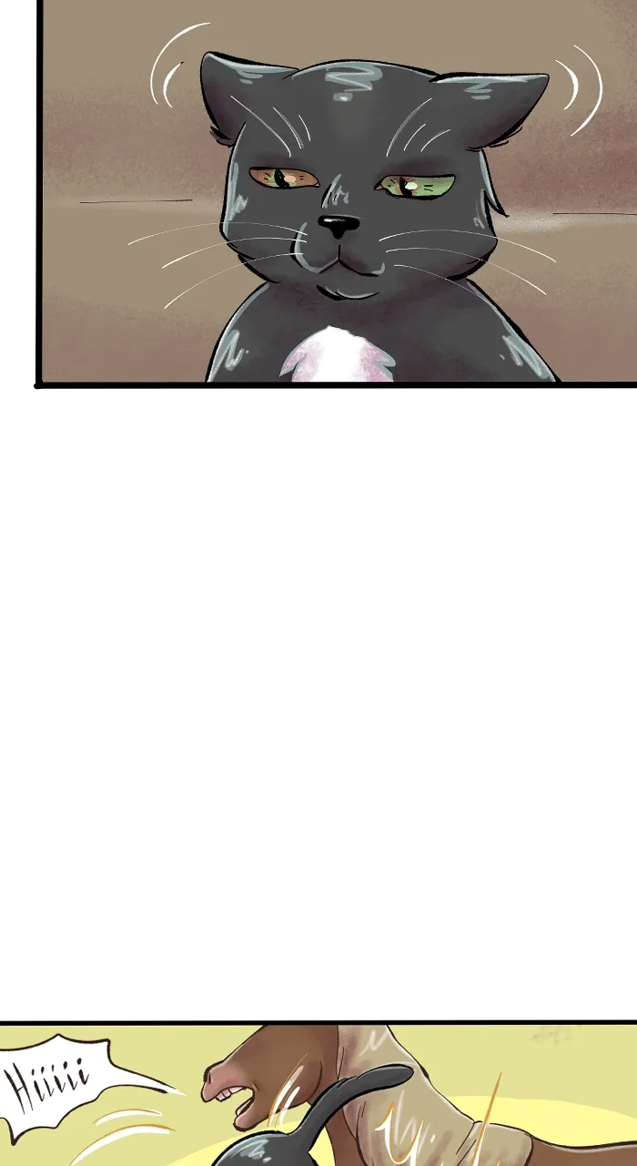 Deception Chapter 259 page 20 - 