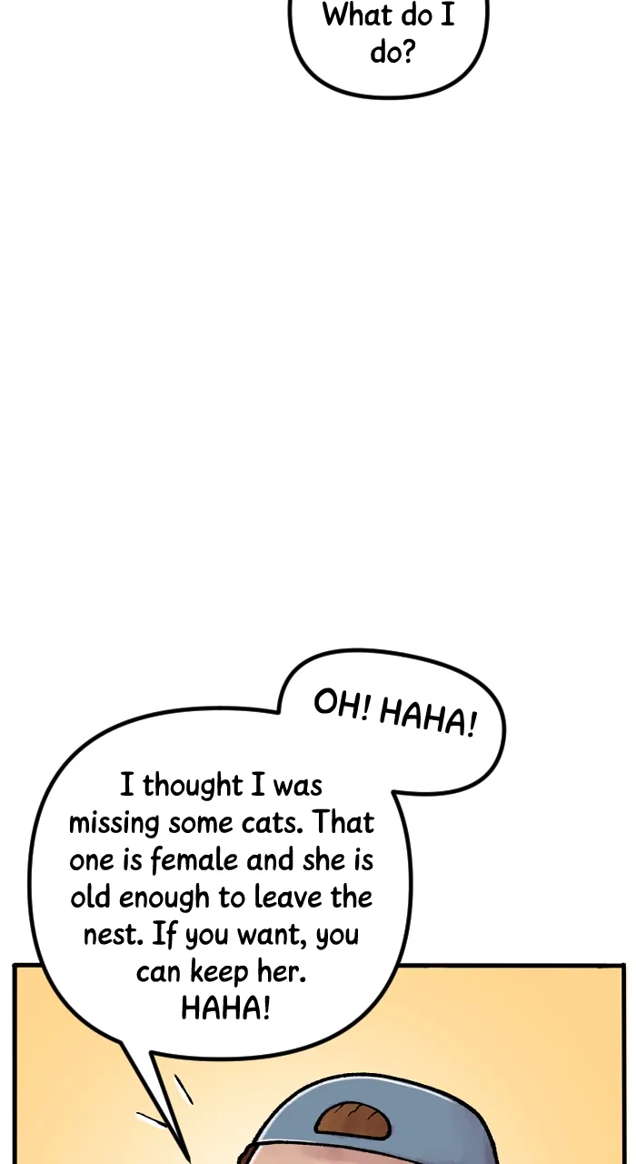 Deception Chapter 261 page 19 - 