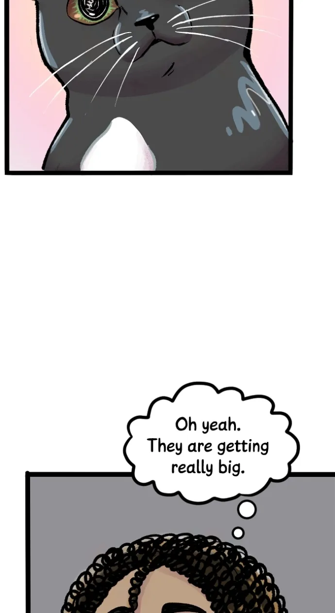 Deception Chapter 279 page 16 - 