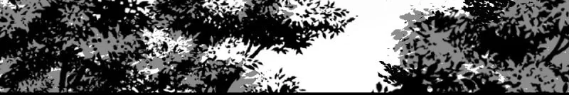 Demon Fox Notes Chapter 9 page 3 - 