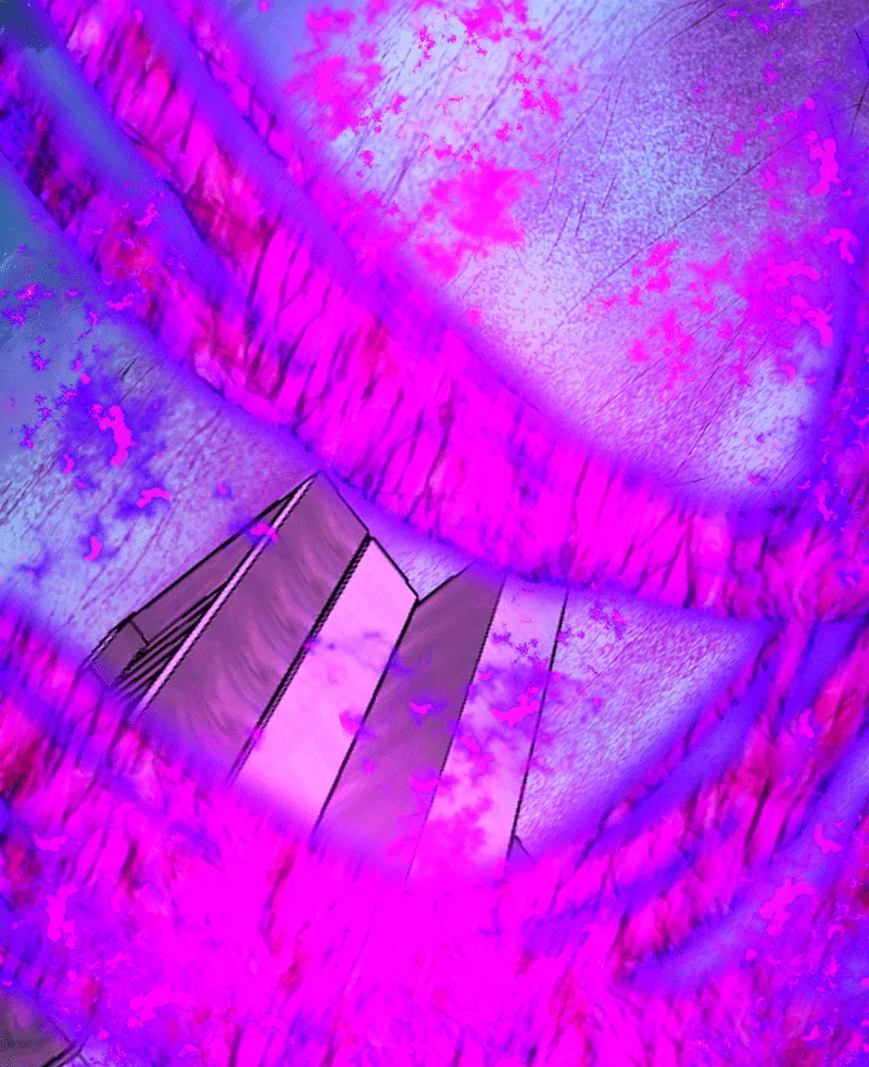 Deor Chapter 64 page 29 - 