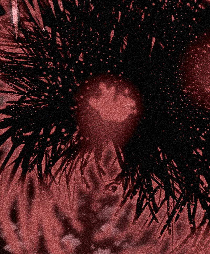 Deor Chapter 66 page 49 - 