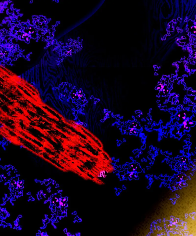 Deor Chapter 77 page 48 - 