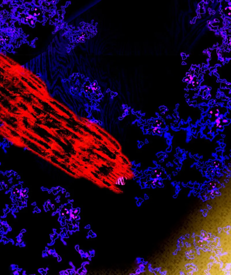 Deor Chapter 78 page 2 - 
