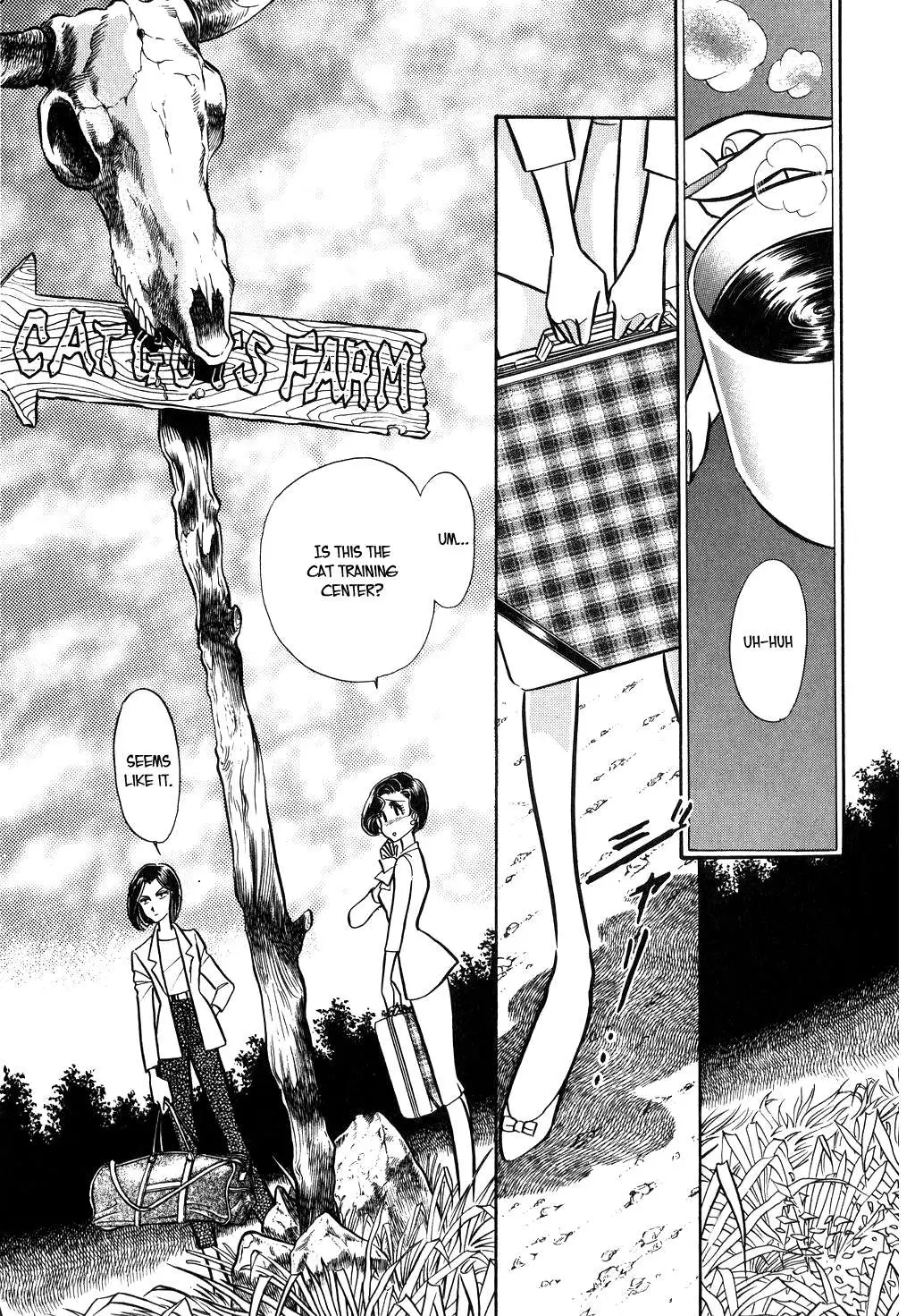 Desert Rose Chapter 96 page 5 - 