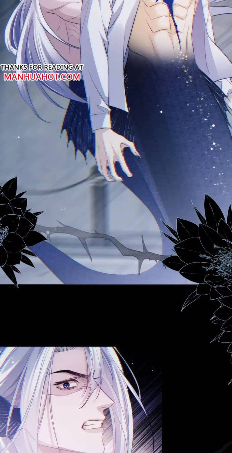 Desharow Merman Chapter 147 page 25 - 
