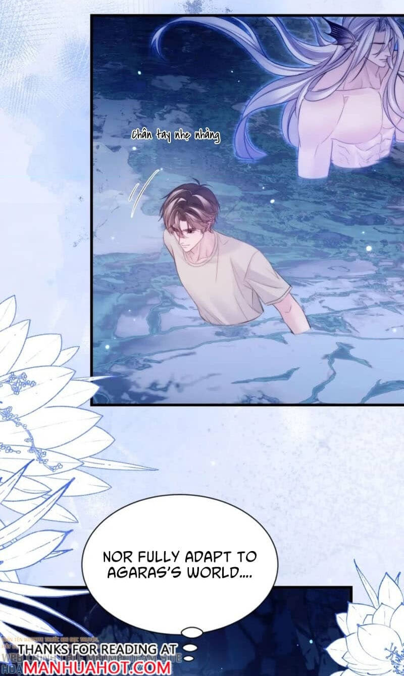 Desharow Merman Chapter 157 page 6 - 