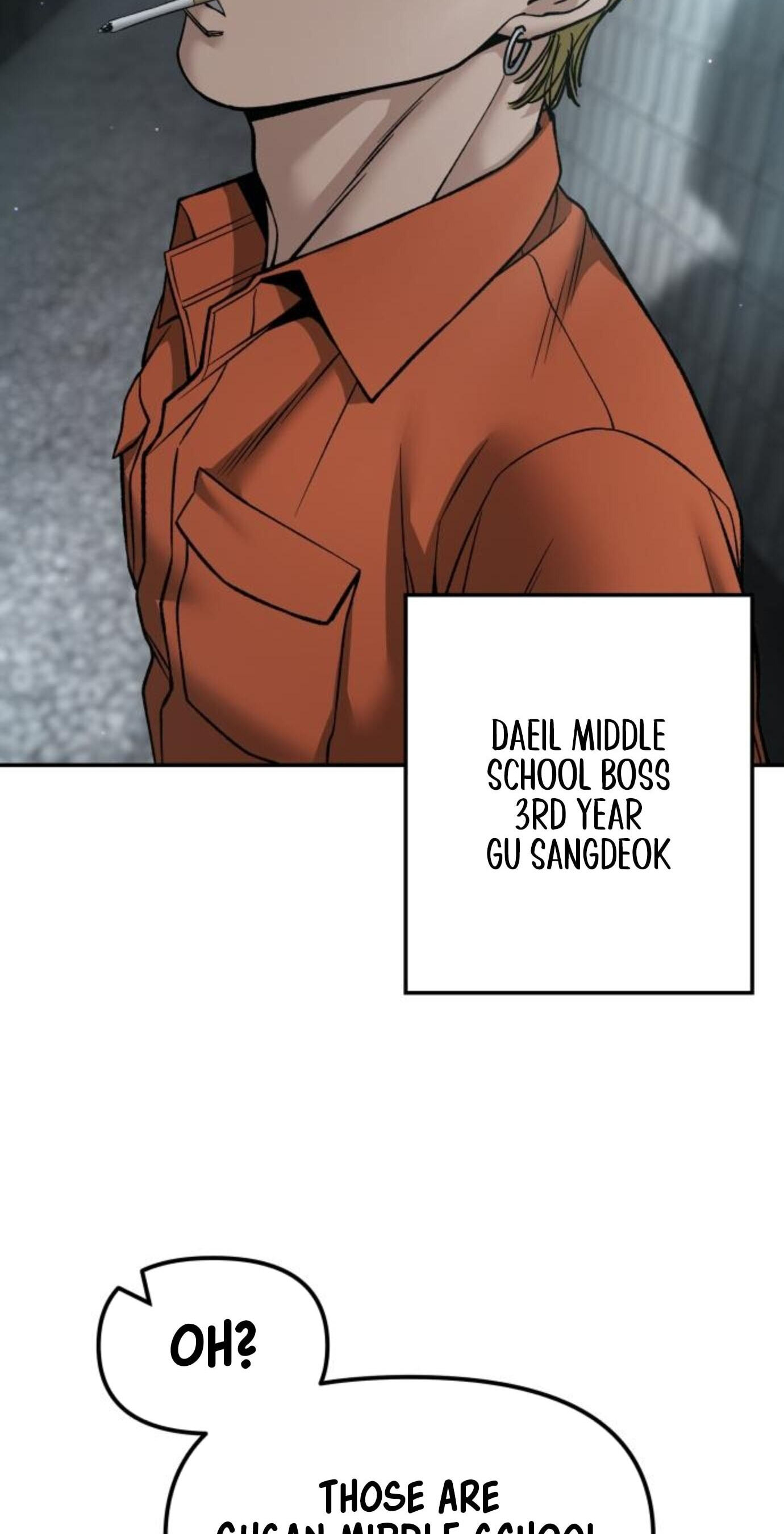 Designated Bully Chapter 176 page 74 - 