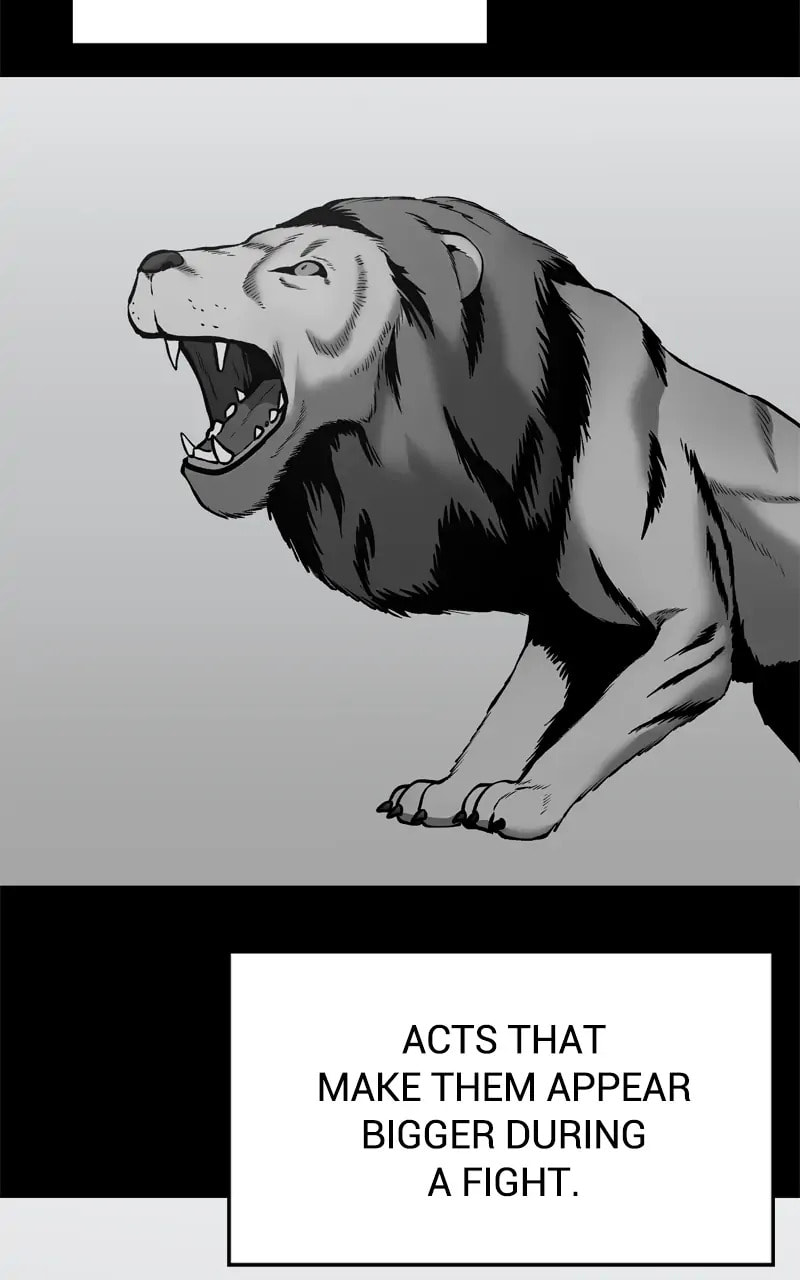 Designated Bully Chapter 49 page 17 - 