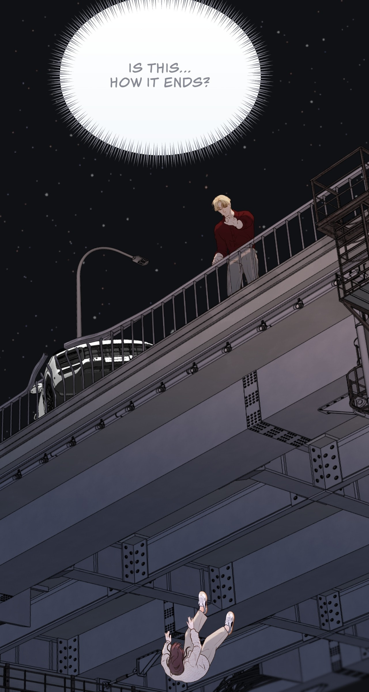 Despite the Risk Chapter 94 page 110 - 
