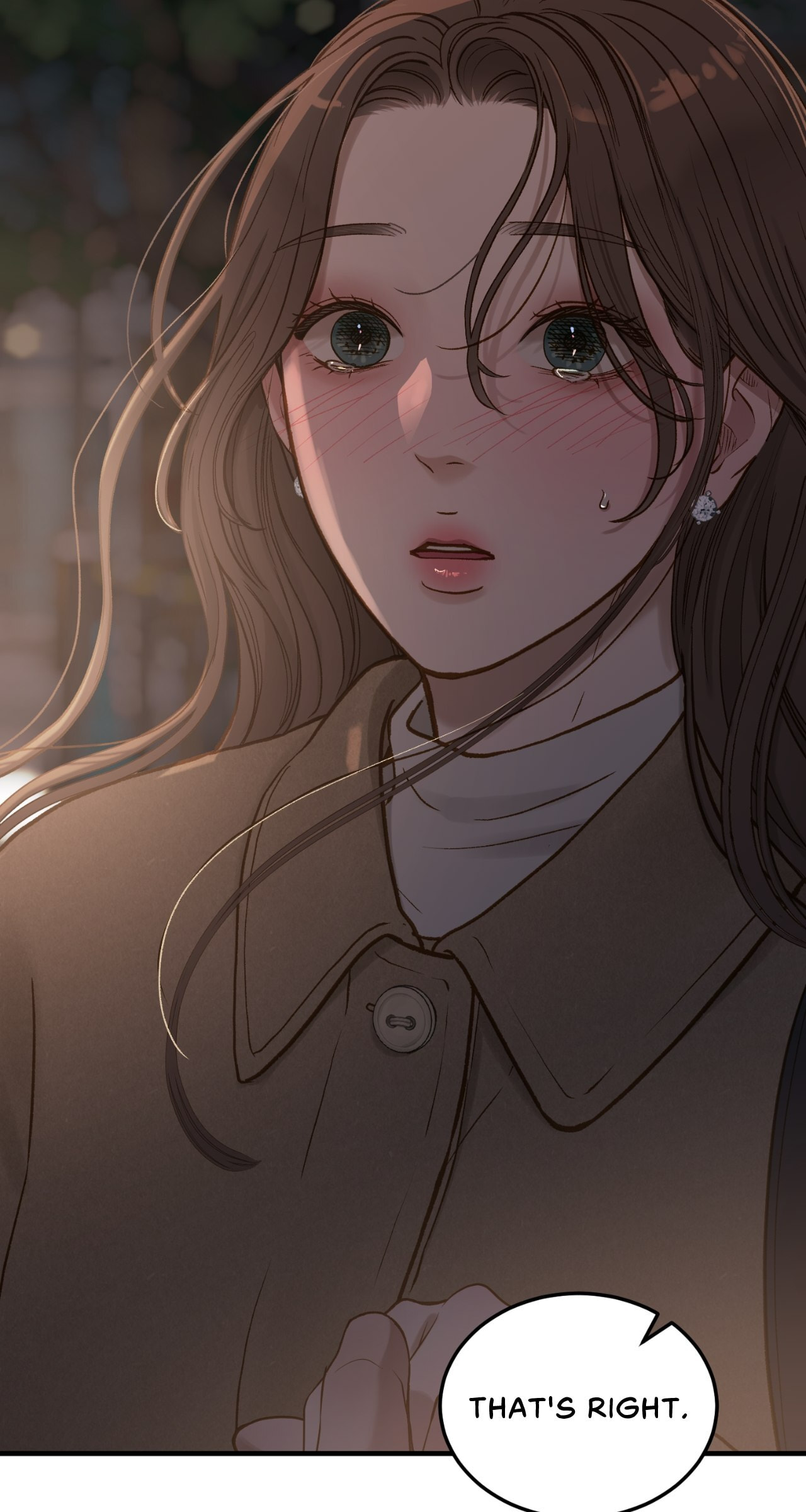 Despite the Risk Chapter 96 page 93 - 