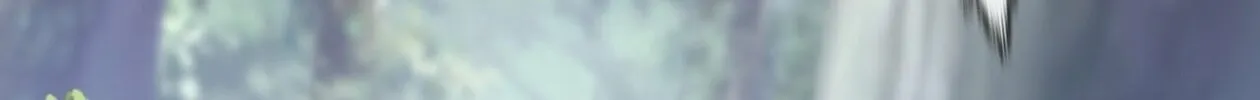 Destiny Divine Path Chapter 16 page 56 - 
