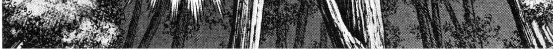 Devilman Saga Chapter 88 page 33 - 