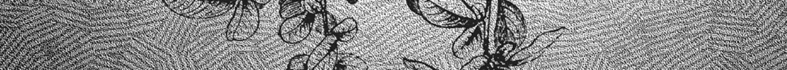 Devils and Realist Chapter 88 page 2 - 