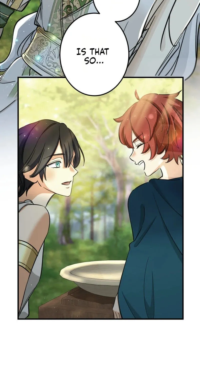 Devotion Over the Crown Chapter 17 page 13 - 