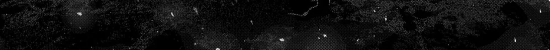 Diasporaiser Chapter 10 page 4 - 