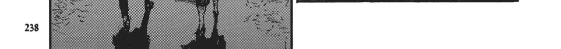 Die Wergelder Chapter 41 page 16 - 