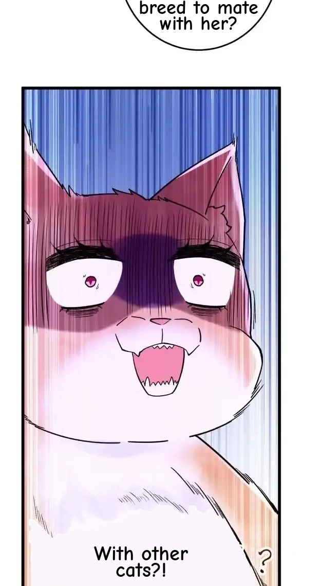 Divine Contract: Starting With A Cat Chapter 21 page 22 - 