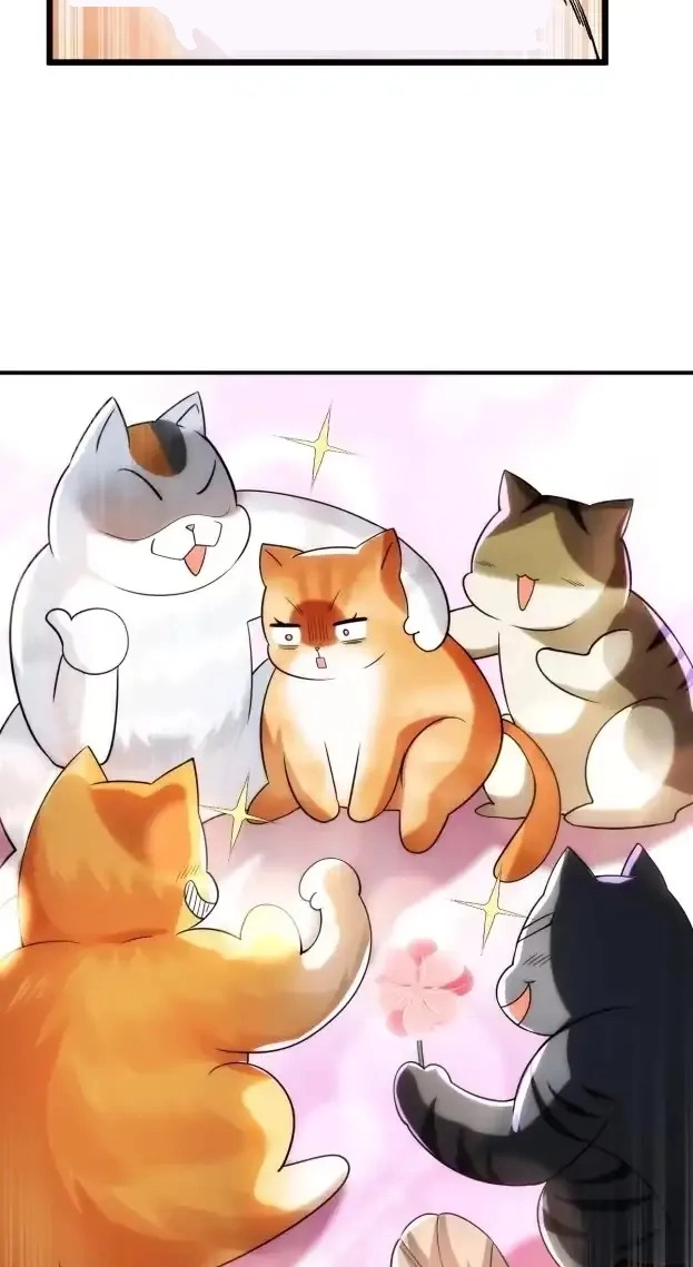 Divine Contract: Starting With A Cat Chapter 21 page 23 - 
