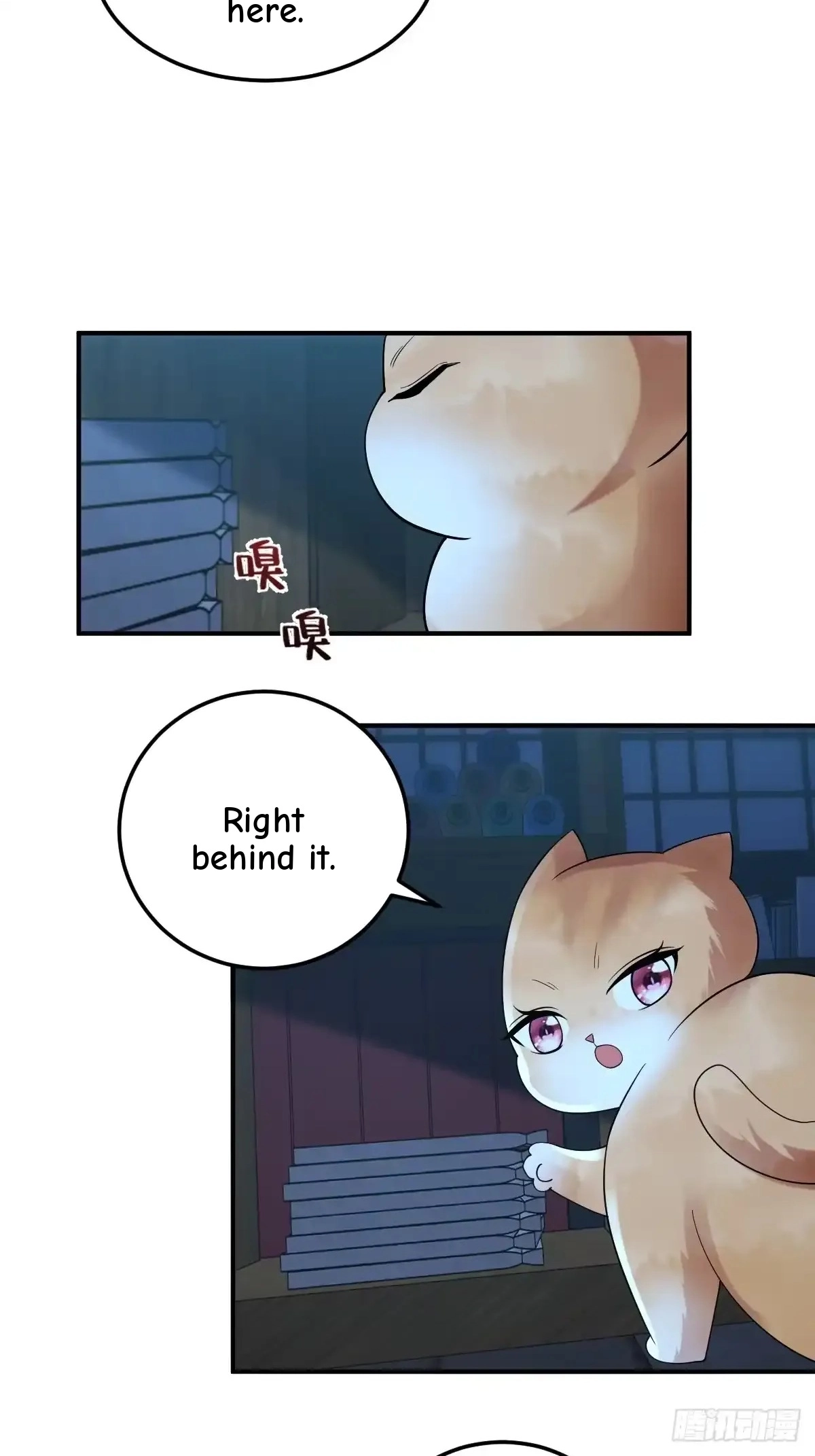 Divine Contract: Starting With A Cat Chapter 35 page 22 - 