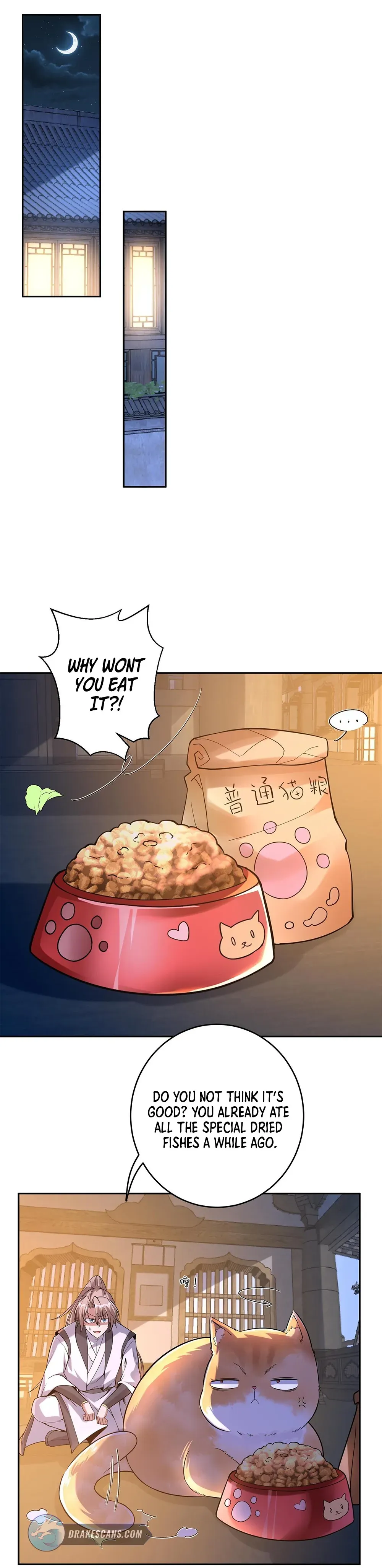 Divine Contract: Starting With A Cat Chapter 4 page 6 - 