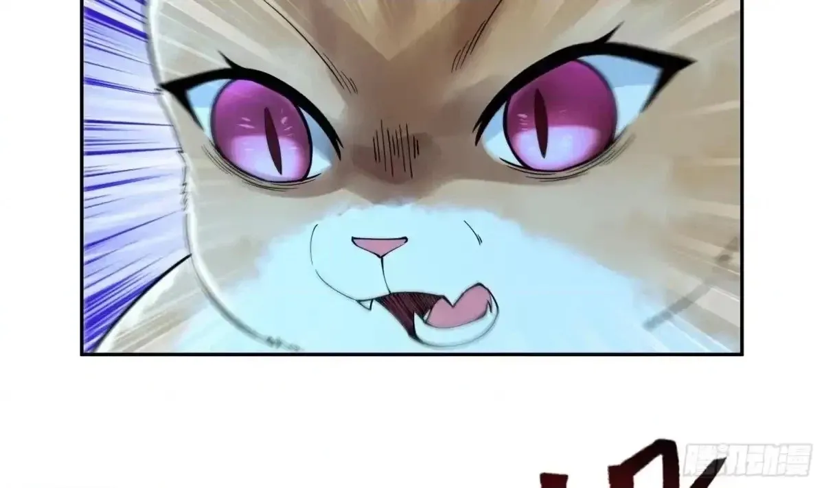 Divine Contract: Starting With A Cat Chapter 7 page 50 - 