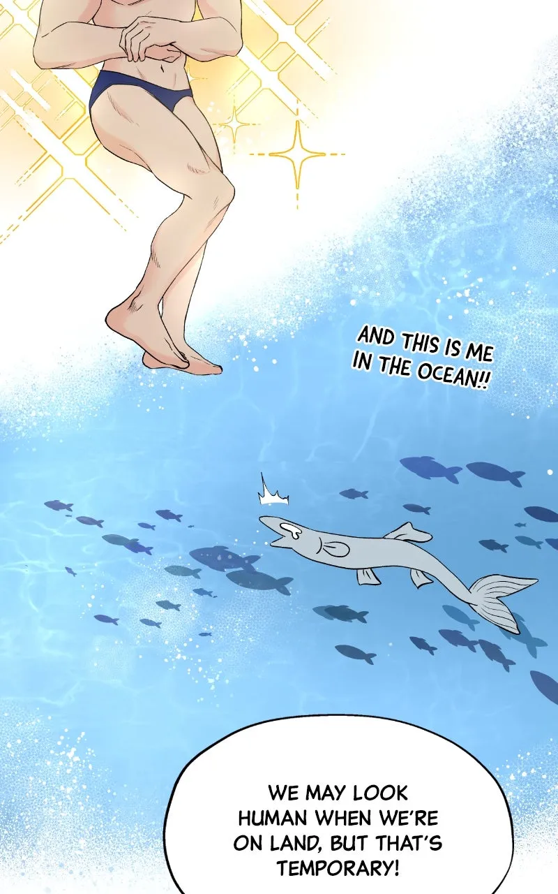 Diving Into Love Chapter 2 page 46 - 