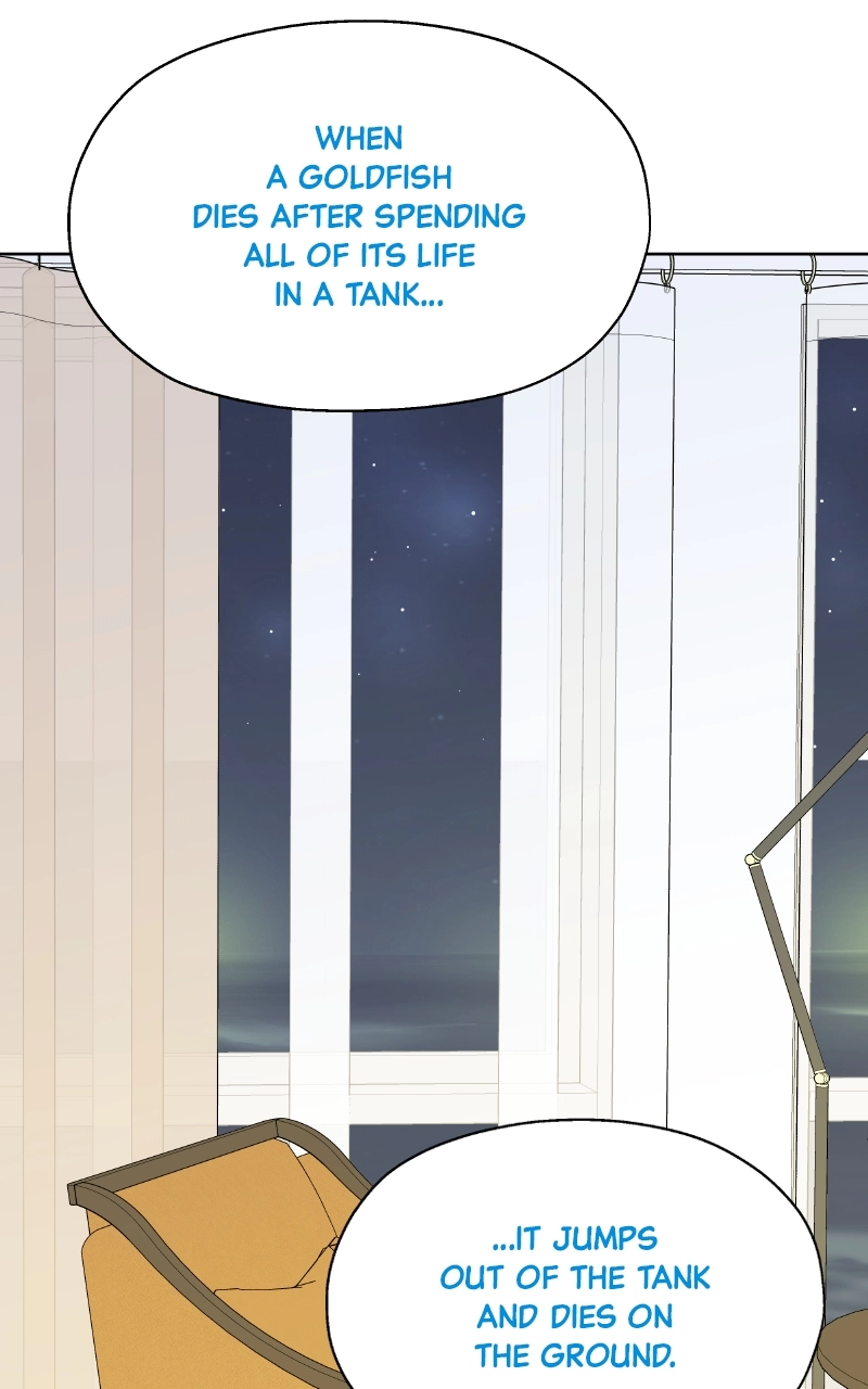 Diving Into Love Chapter 31 page 24 - 
