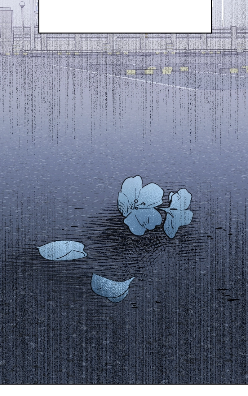 Diving Into Love Chapter 58 page 62 - 