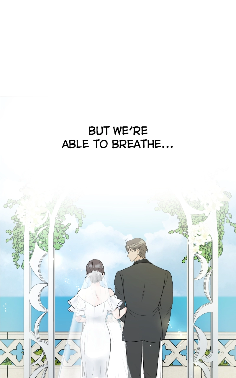 Diving Into Love Chapter 61 page 109 - 