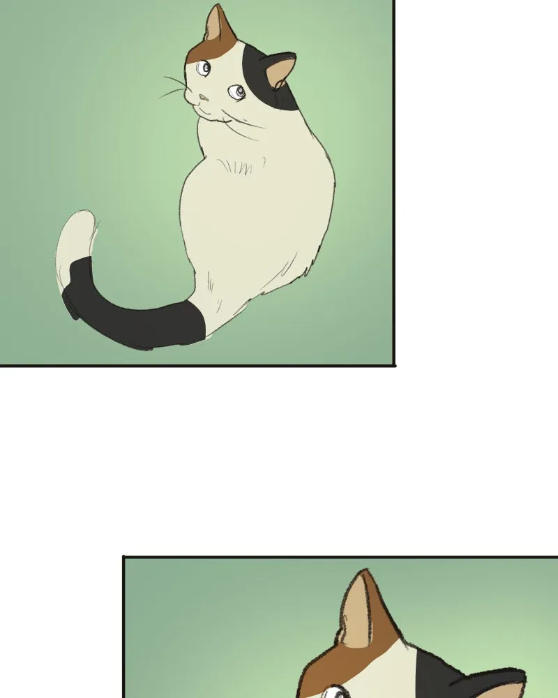 Do You Remember Chapter 60 page 55 - 