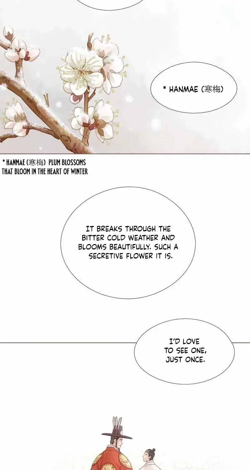 Doctor Hong's Secret Chapter 50 page 30 - 