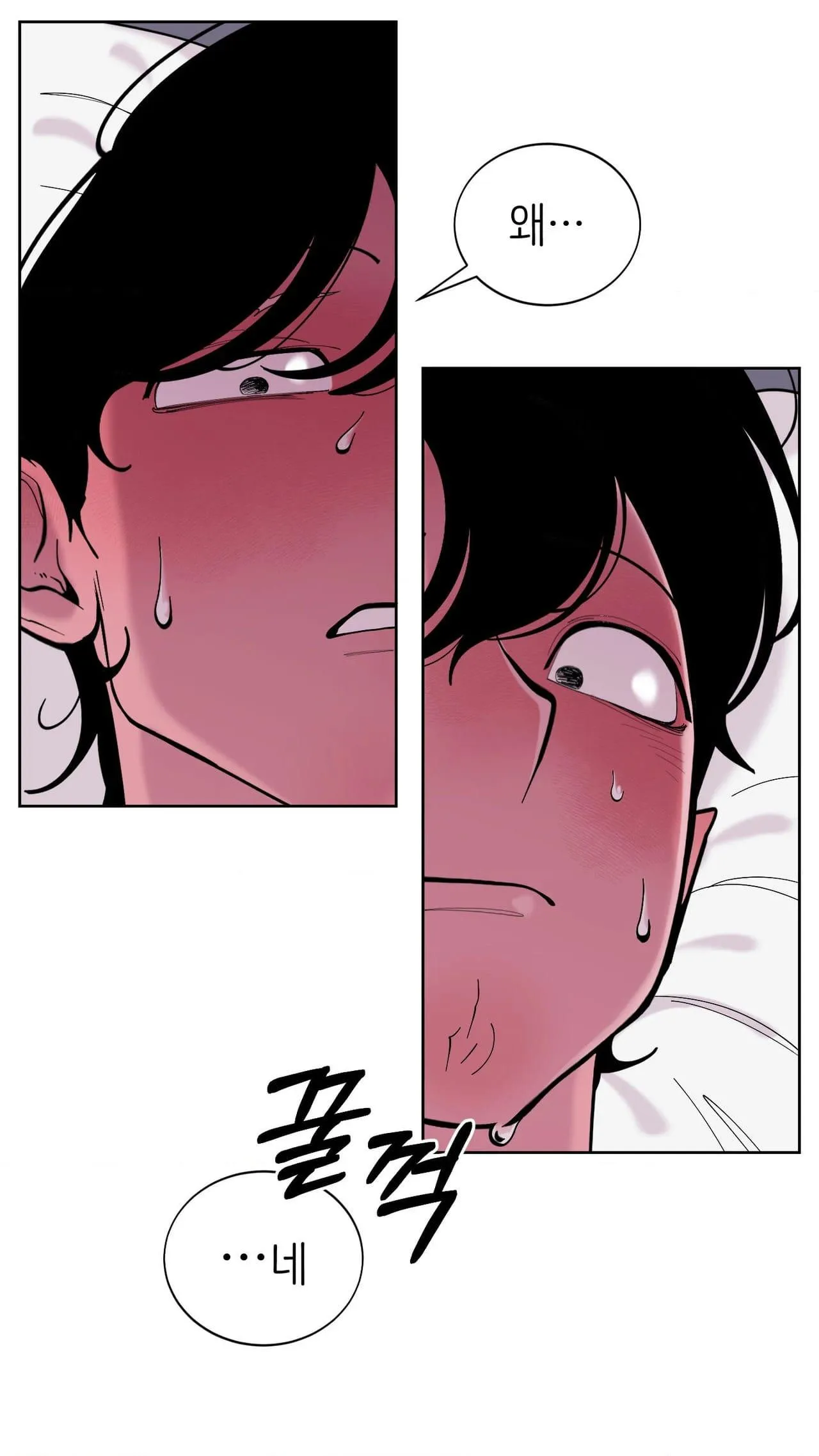 Dog without a leash Chapter 7 page 5 - 