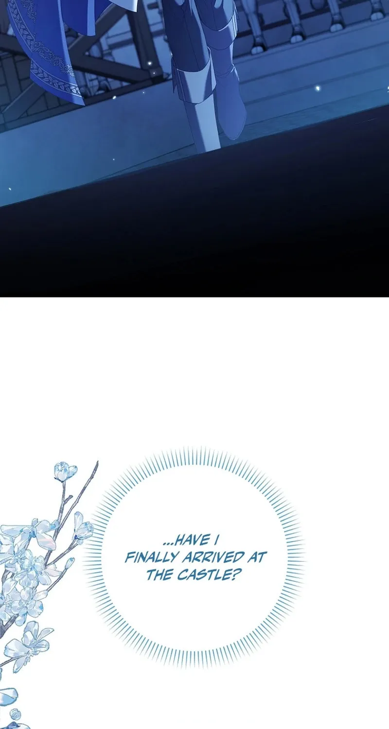 Don't Expect Me to Take Responsibility Chapter 13 page 73 - 