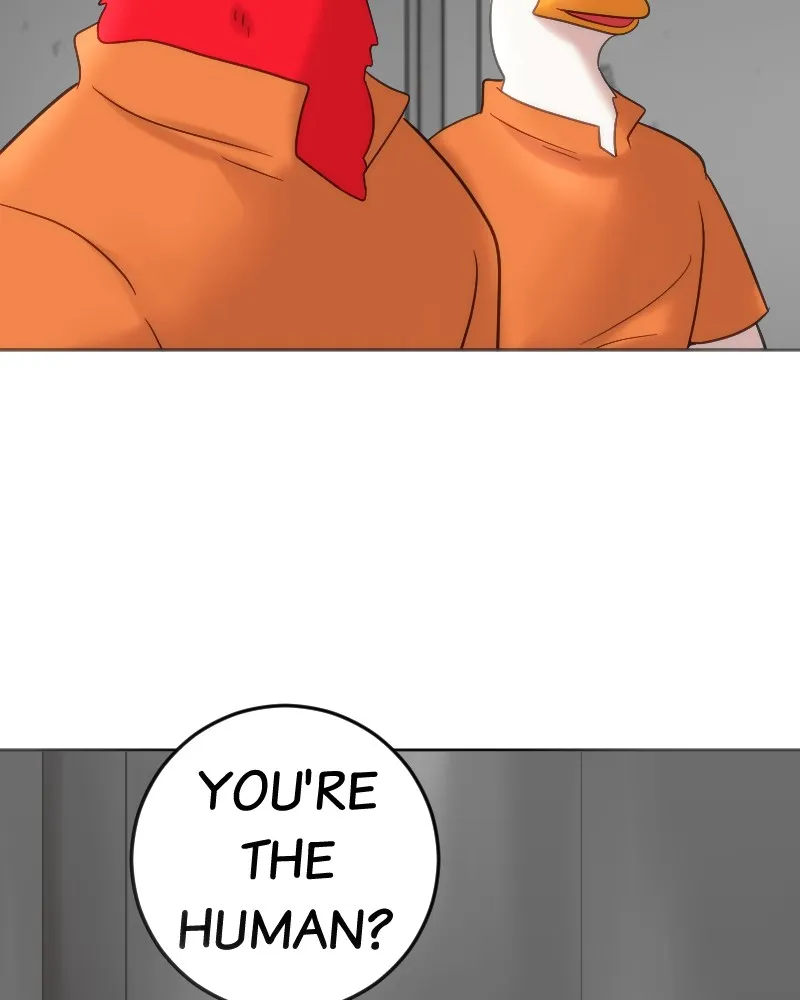 DON'T HATE Chapter 116 page 28 - 