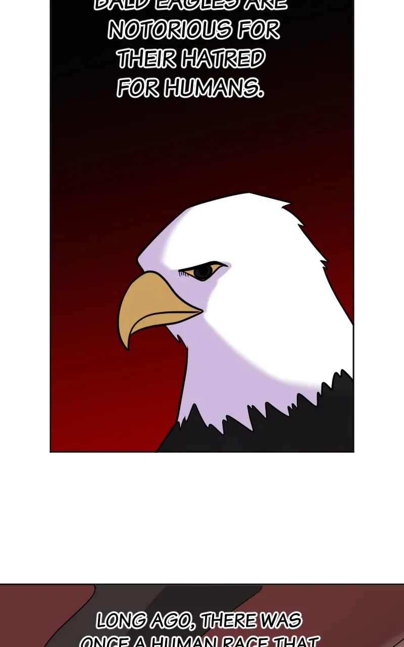 DON'T HATE Chapter 26 page 12 - 