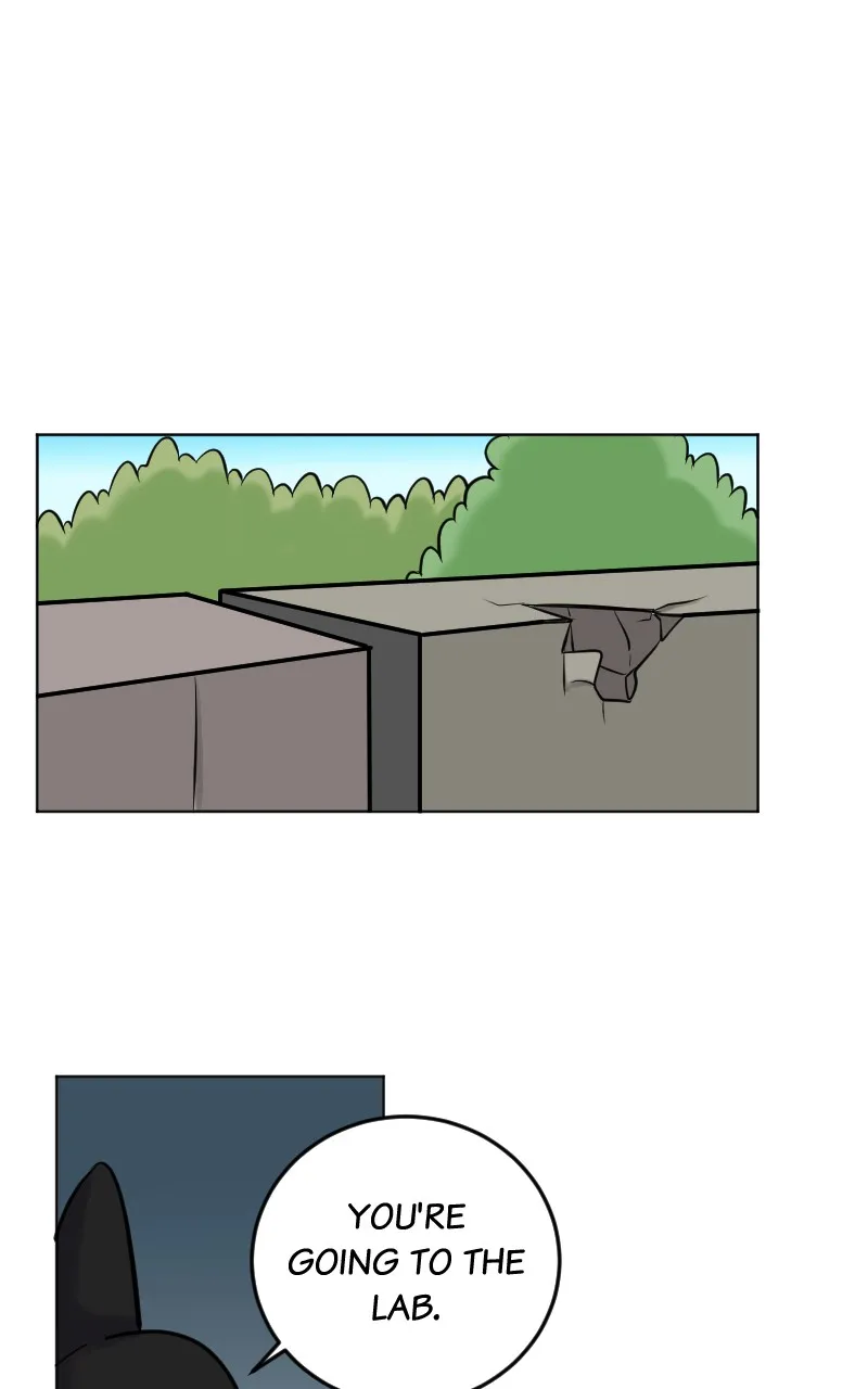 DON'T HATE Chapter 35 page 17 - 